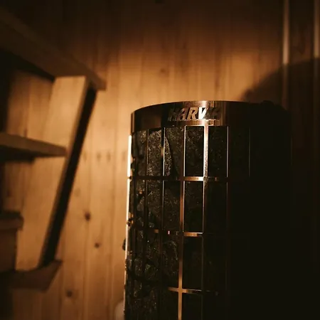 Saarijaerven Ruustinna Oy *