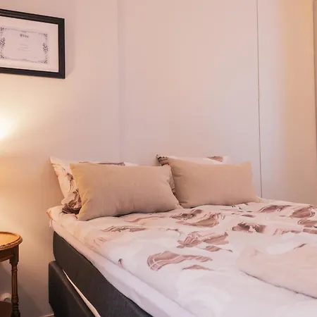 Saarijaerven Ruustinna Oy