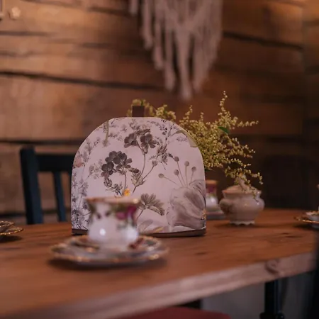 酒店 Saarijaerven Ruustinna Oy *