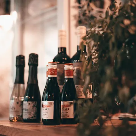 酒店 Saarijaerven Ruustinna Oy 萨里耶尔维