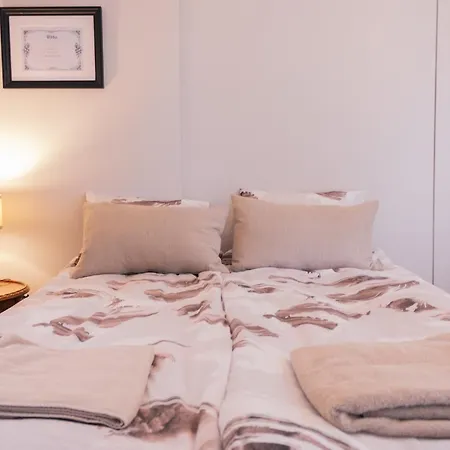 Hotel Saarijaerven Ruustinna Oy